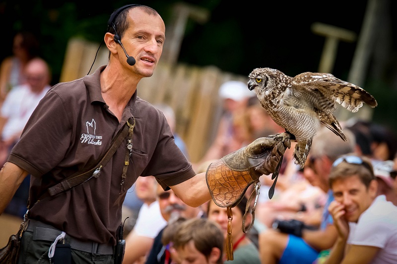 Château des Milandes, Castelnaud-la-Chapelle - photo 8