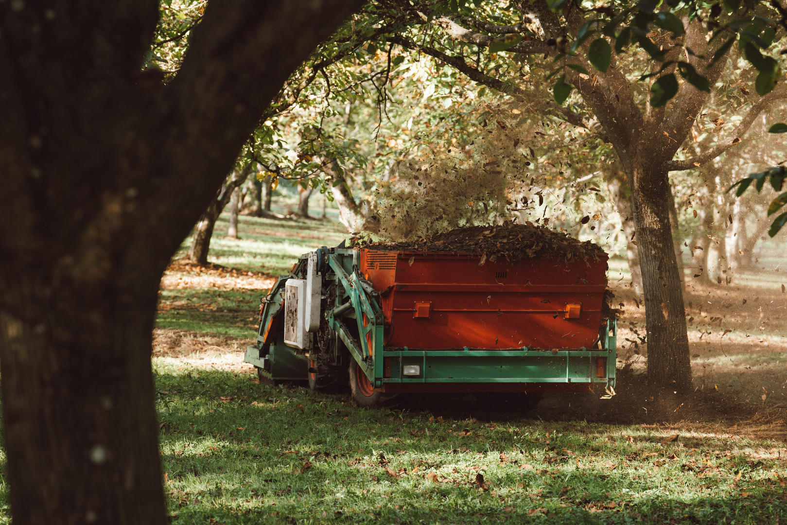 Les Noyeraies du Lander - photo 4