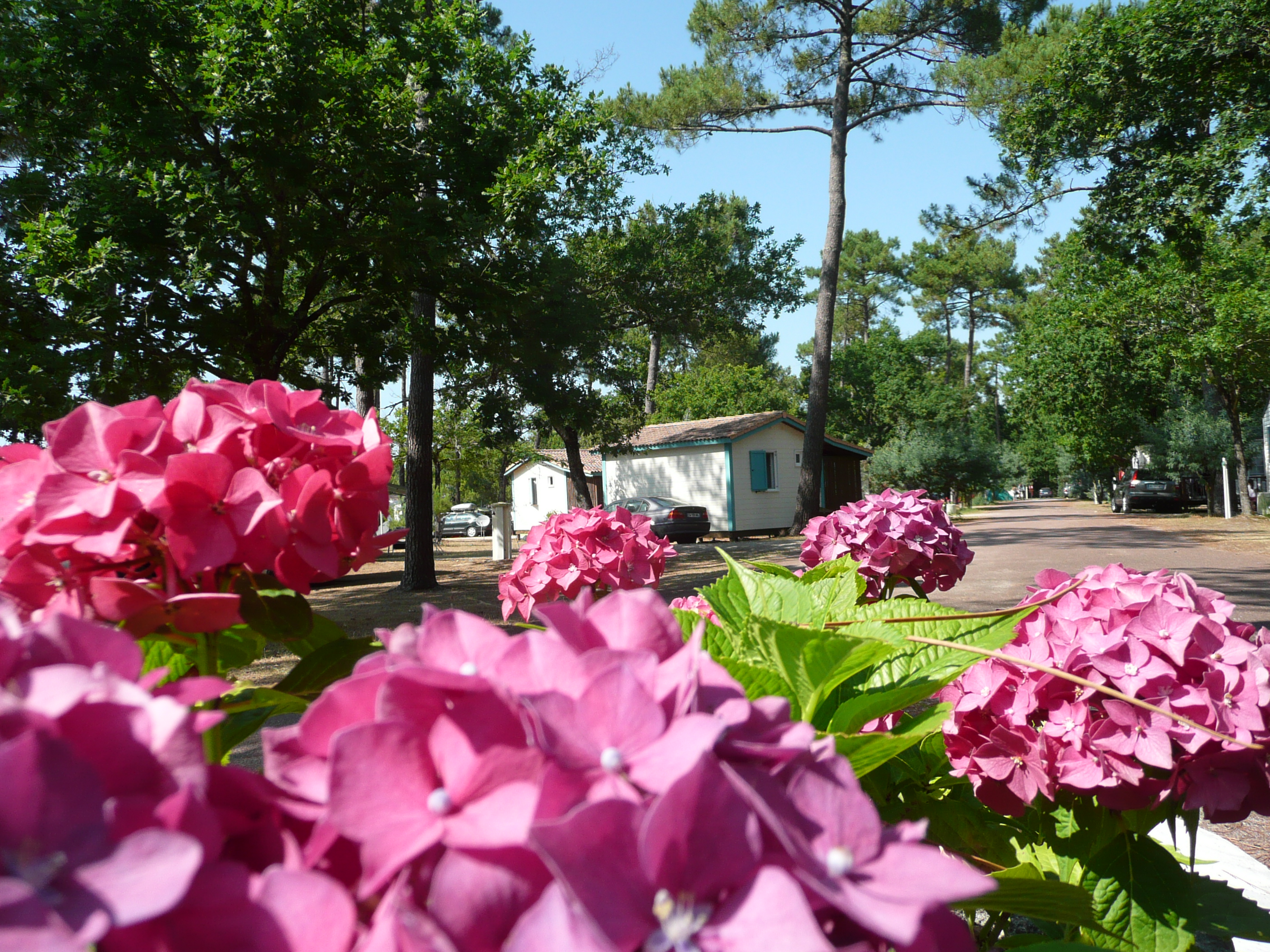 Camping municipal Les Oyats, Soulac-sur-Mer - photo 6