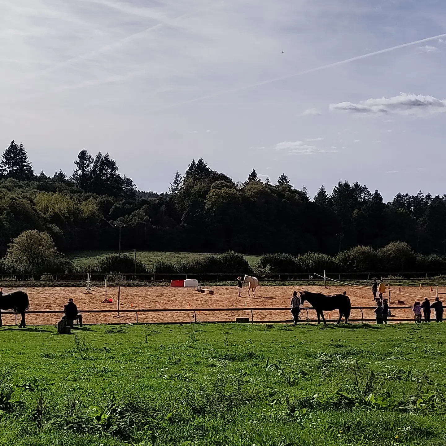 Centre équestre les Paladins de Saint-Agnan