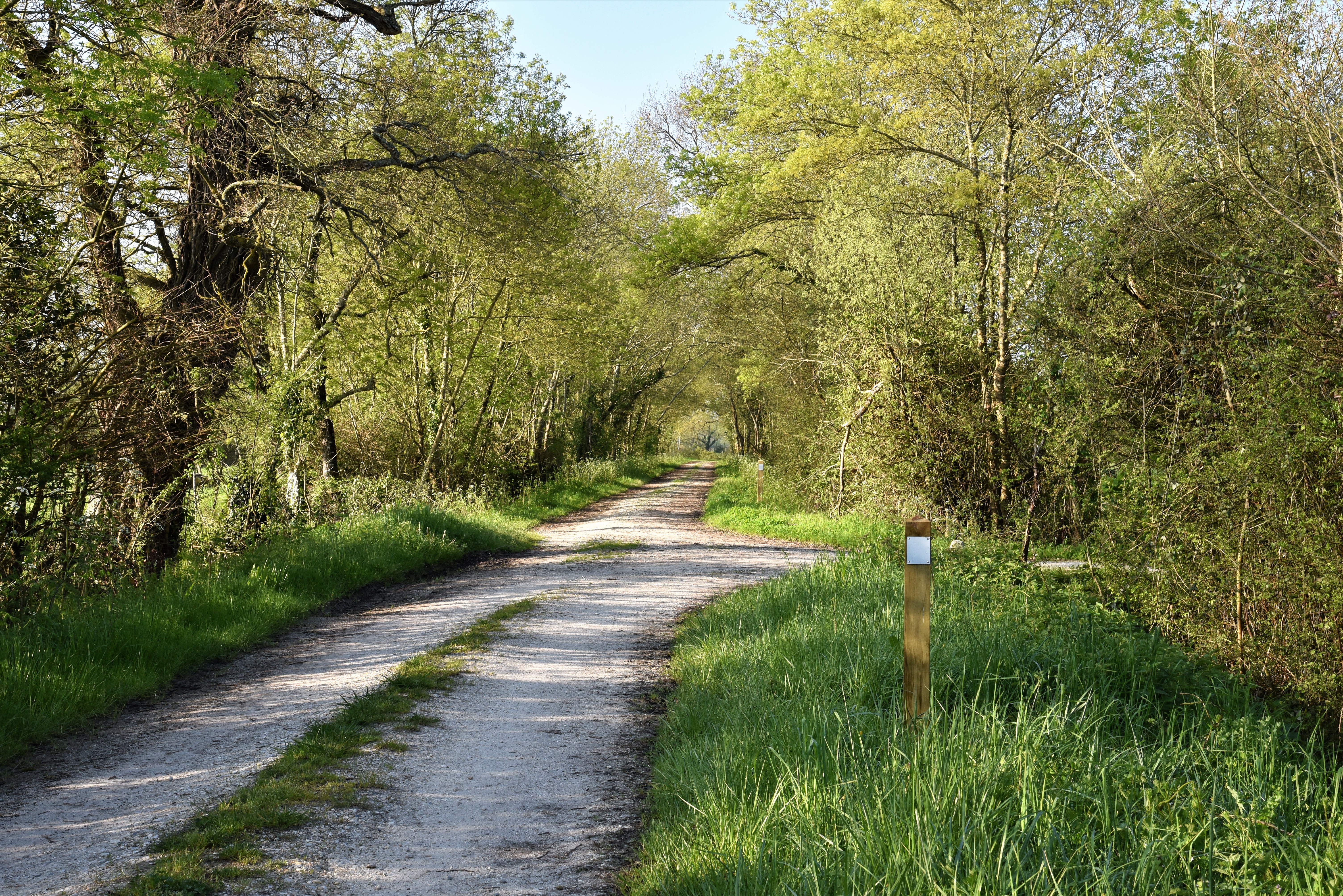 Boucle des Palus, Queyrac - photo 8