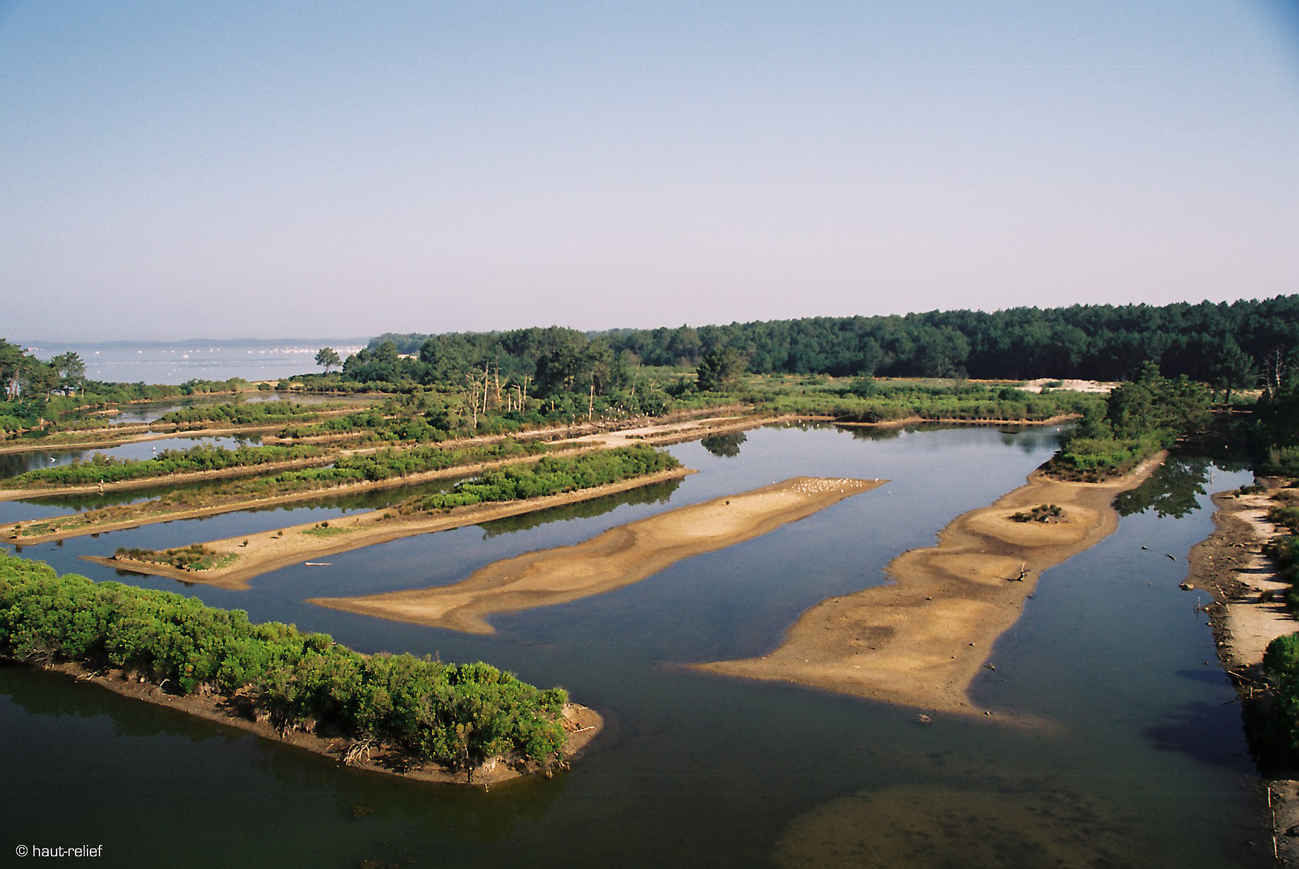 Site naturel des Quinconces — Curiosités naturelles à Bassin d'Arcachon