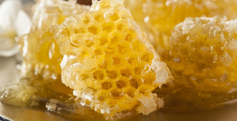 EARL Les Ruchers du Moulin à Vent