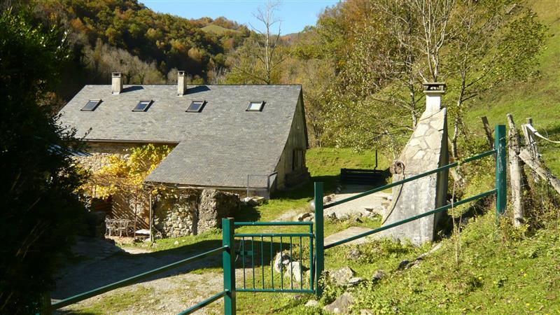 Gîte Vert 