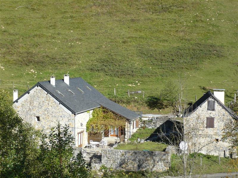 Gîte jaune 