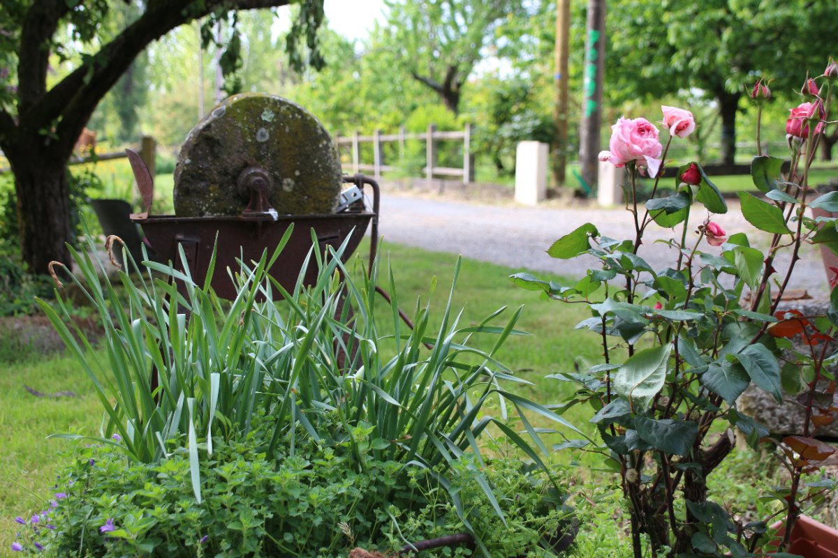 Les Vergers en Périgord, Lamonzie-Saint-Martin - photo 3
