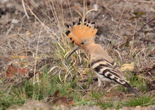 Plaines agricoles du Verteillacois, Gout-Rossignol - photo 5