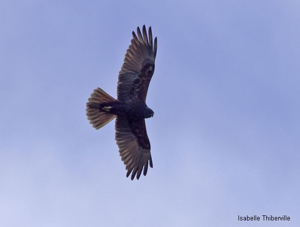 Les Etangs de la Jemaye, La Jemaye-Ponteyraud - photo 18