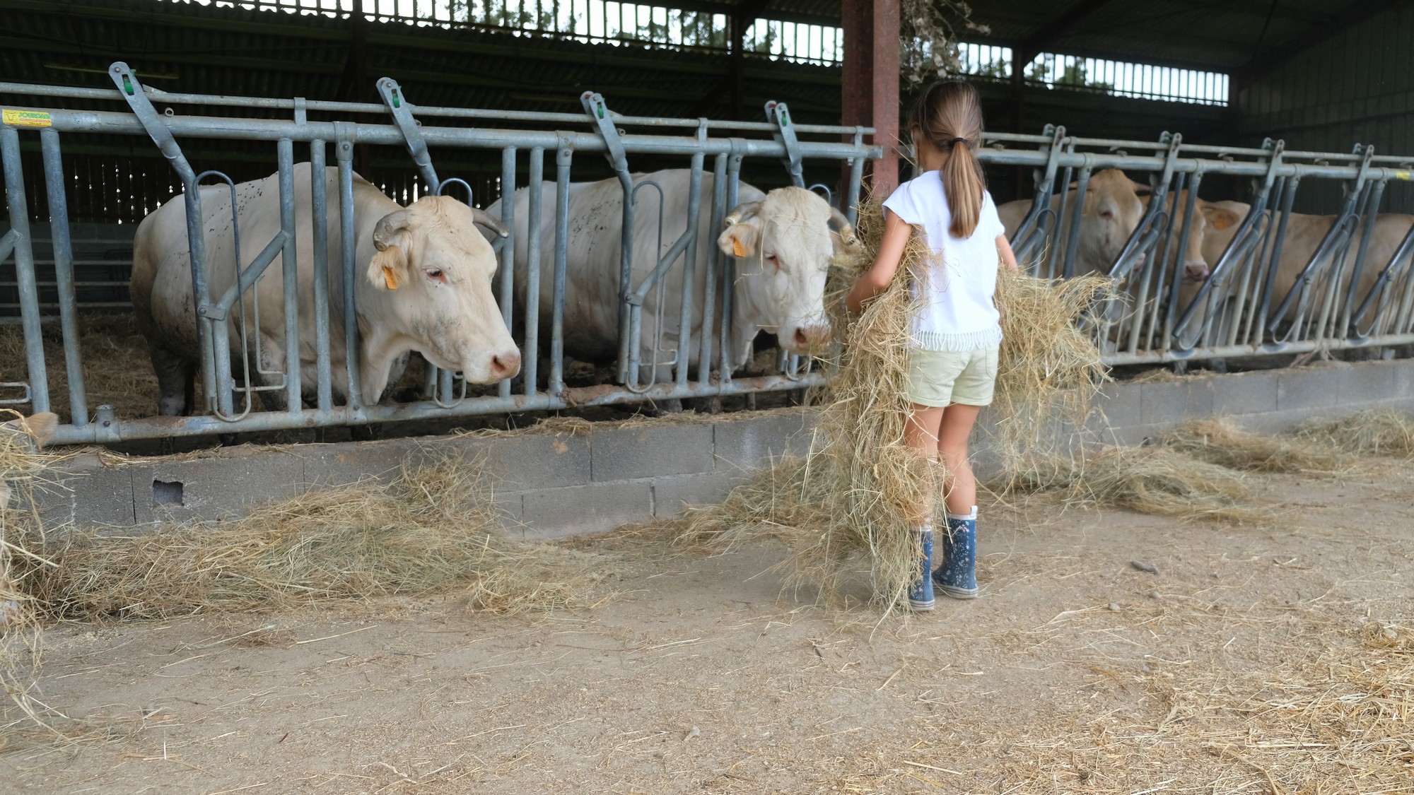 Les apprentis éleveurs : pour un moment magique à la ferme