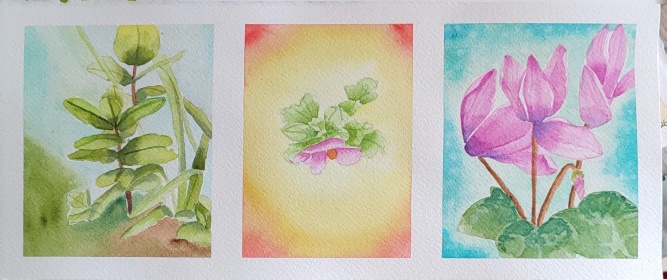 Les aquarelles de Deborah