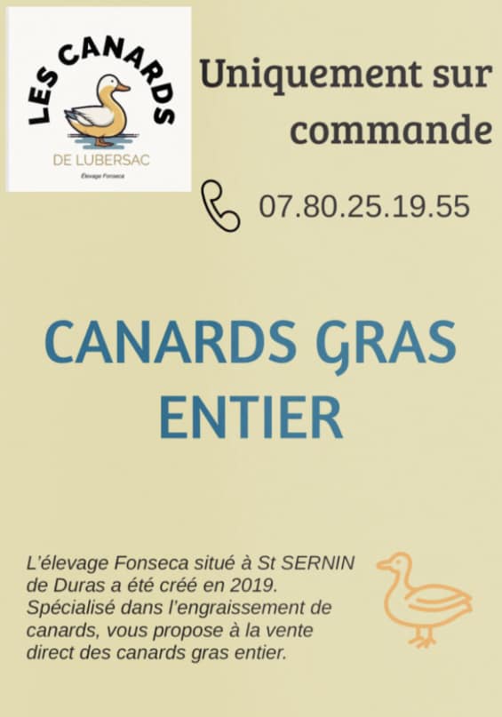 Les canards de Lubersac