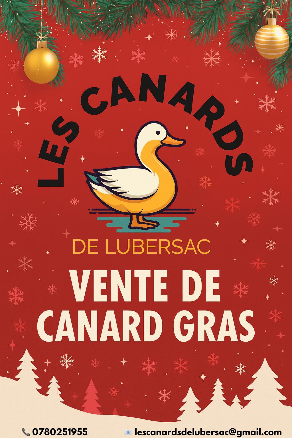 Les canards de Lubersac