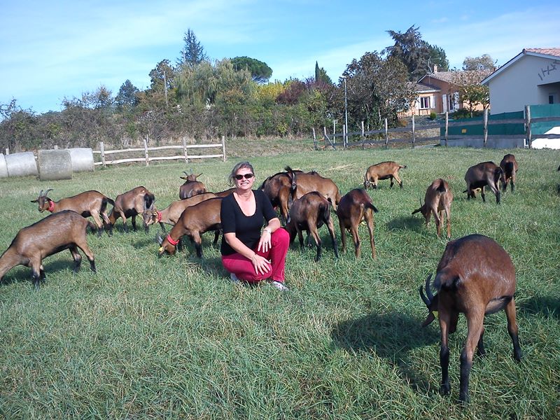 La Chèvrerie des Sources 47