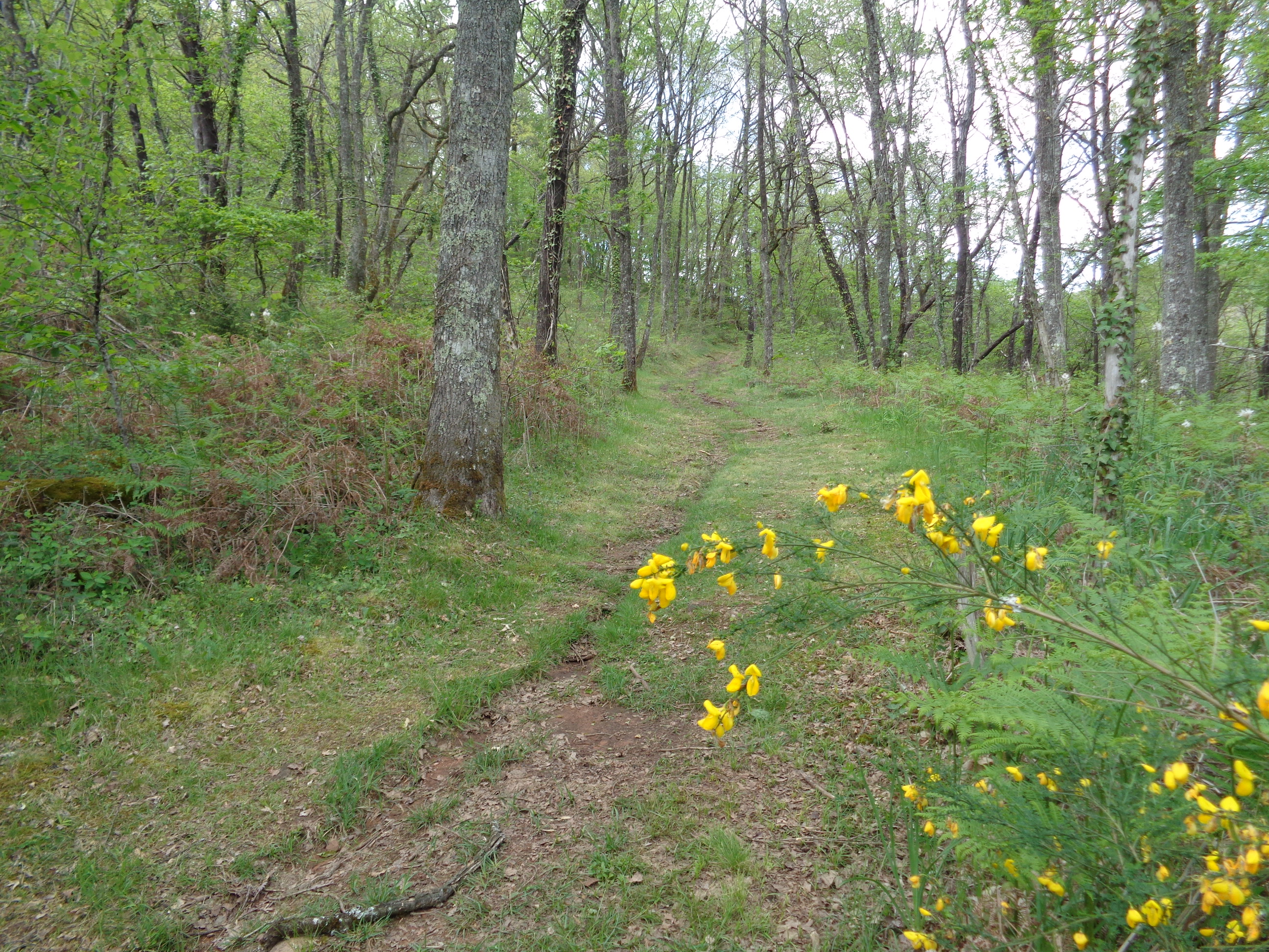 Les chemins retrouvés — photo 2