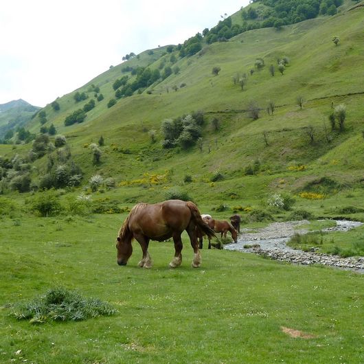 Balade à Roulettes n°27 Le plateau de Lhers à Lescun, Lescun - photo 4