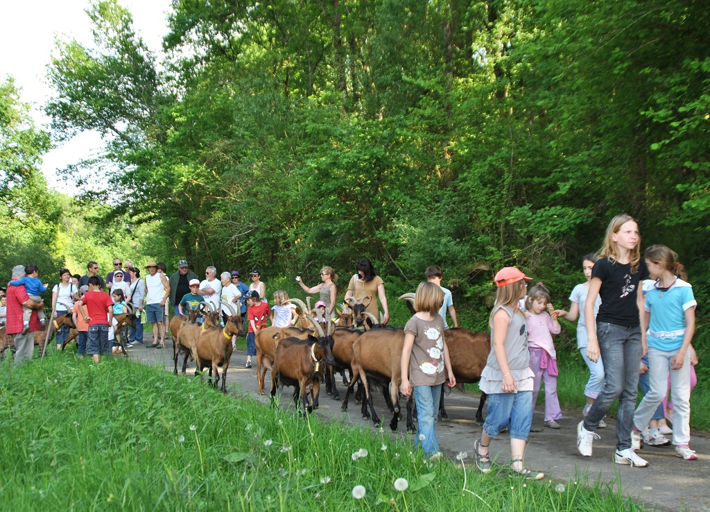 Les Chênaies de l'Adour, Laurède - photo 2