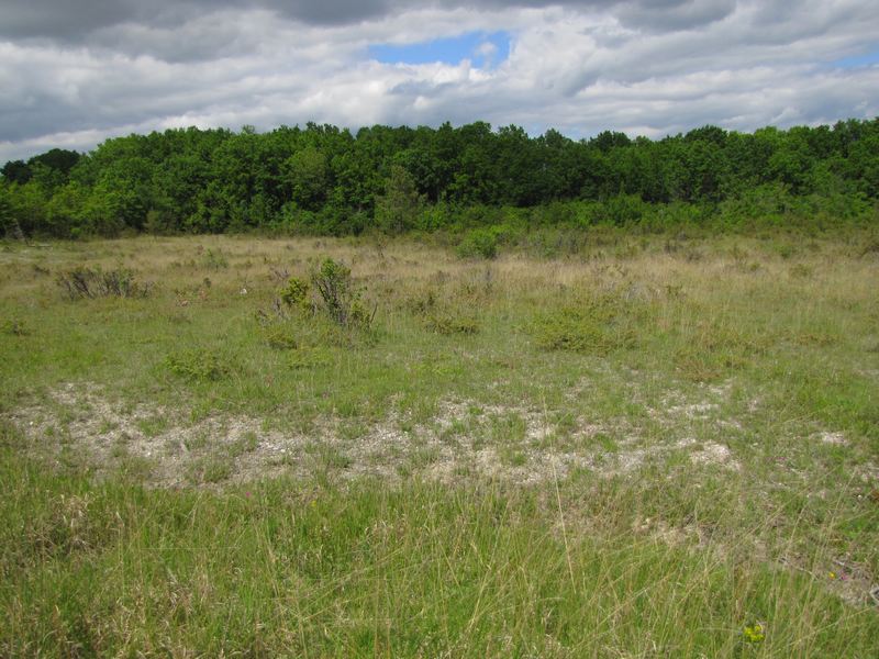 Plateau de Faux-Issigeac, Issigeac - photo 6