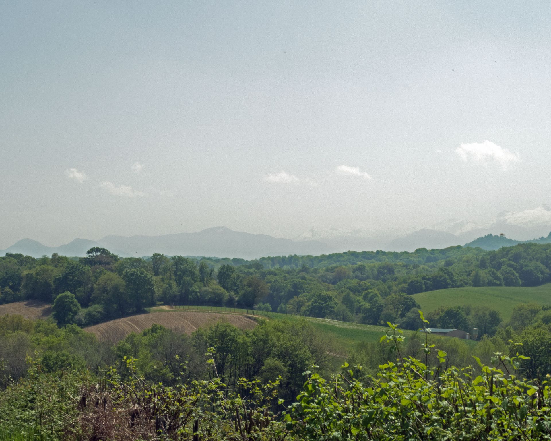 N°81 Les Coteaux de Joos, Geüs-d'Oloron - photo 2