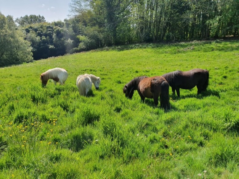 Les écuries de Laubanie