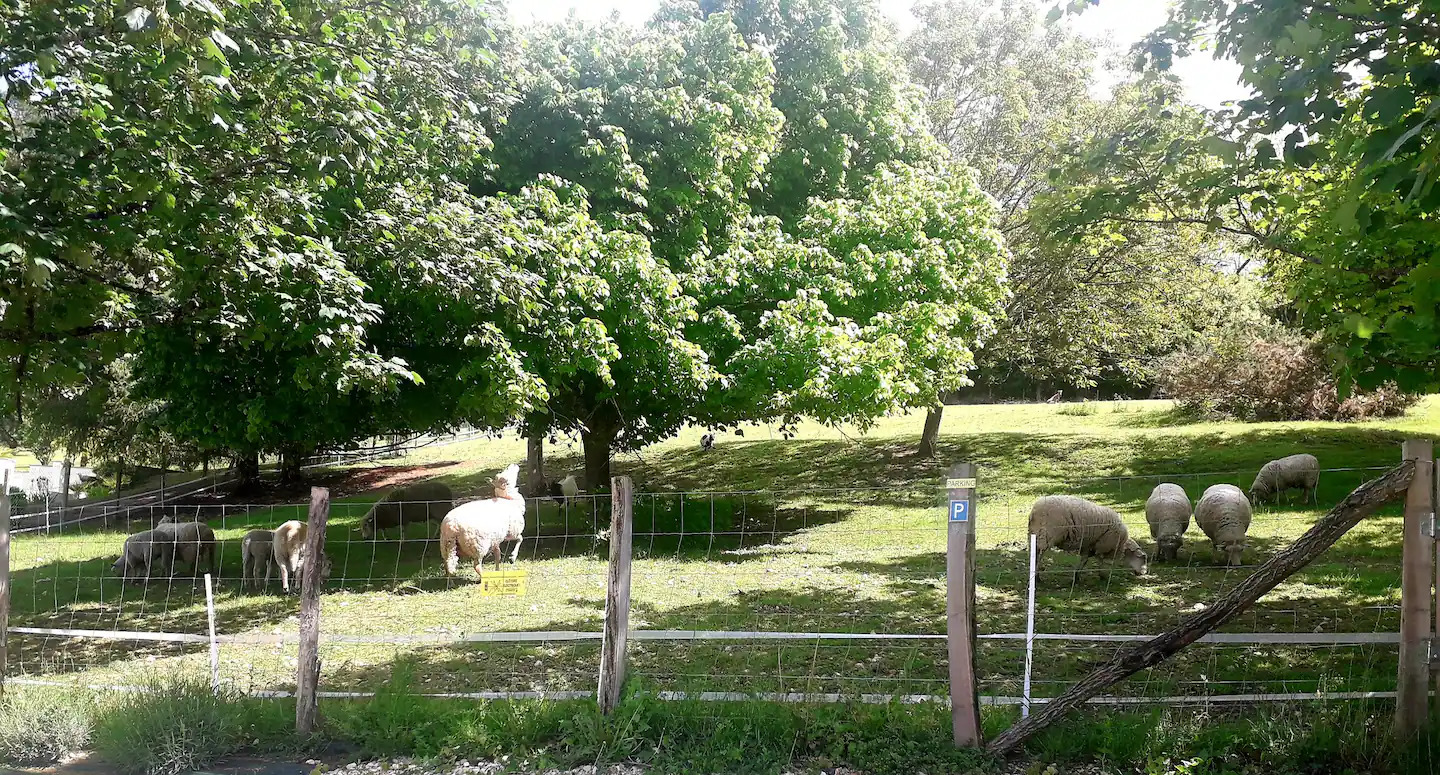 Les gîtes de Pétrocoriis - La Prairie, Boulazac Isle Manoire