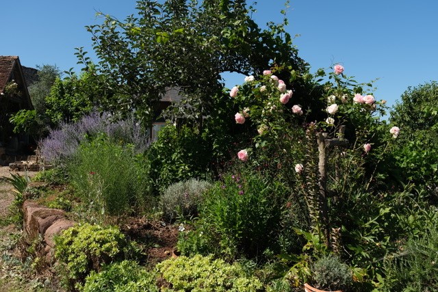 Les Hirondelles, Saint-Bonnet-la-Rivière - photo 9