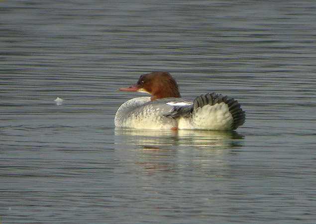 Retenue de Miallet - photo 4