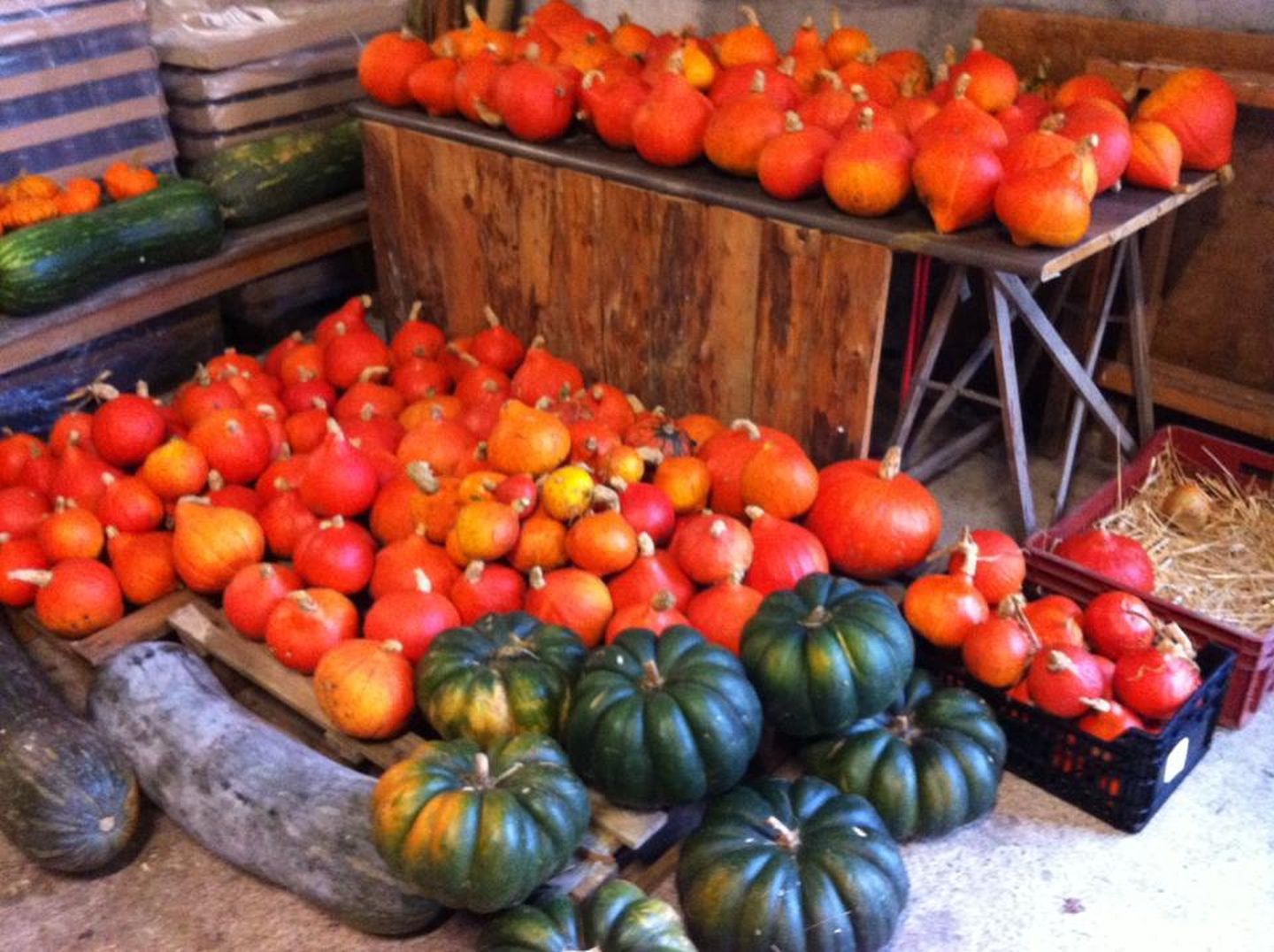 Les Jardins d'Ossau — photo 2
