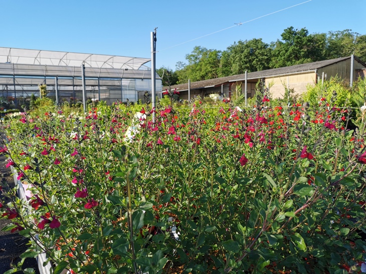 Les Jardins de la Frolle GAEC