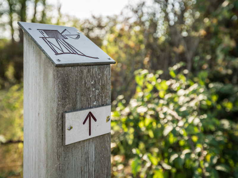 Marais de Labarde - photo 3