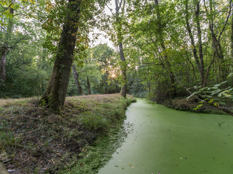 Marais de Labarde - photo 2