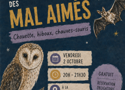 À la rencontre des Mal-Aimés