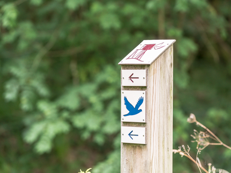 Marais d'Arcins Soussans