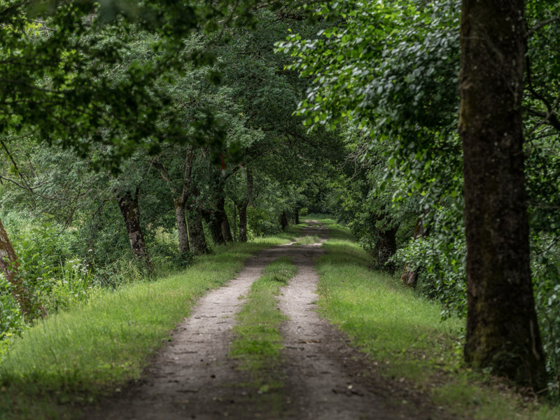 Les boucles des marais d'Arcins-Soussans - photo 4
