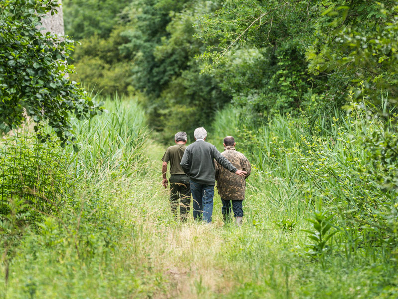 Les boucles des marais d'Arcins-Soussans