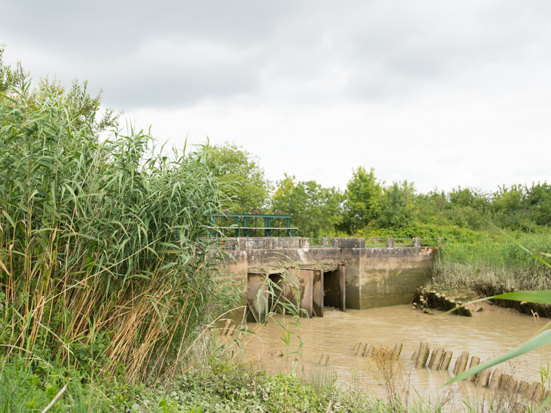 Marais d'Arcins Soussans - photo 2