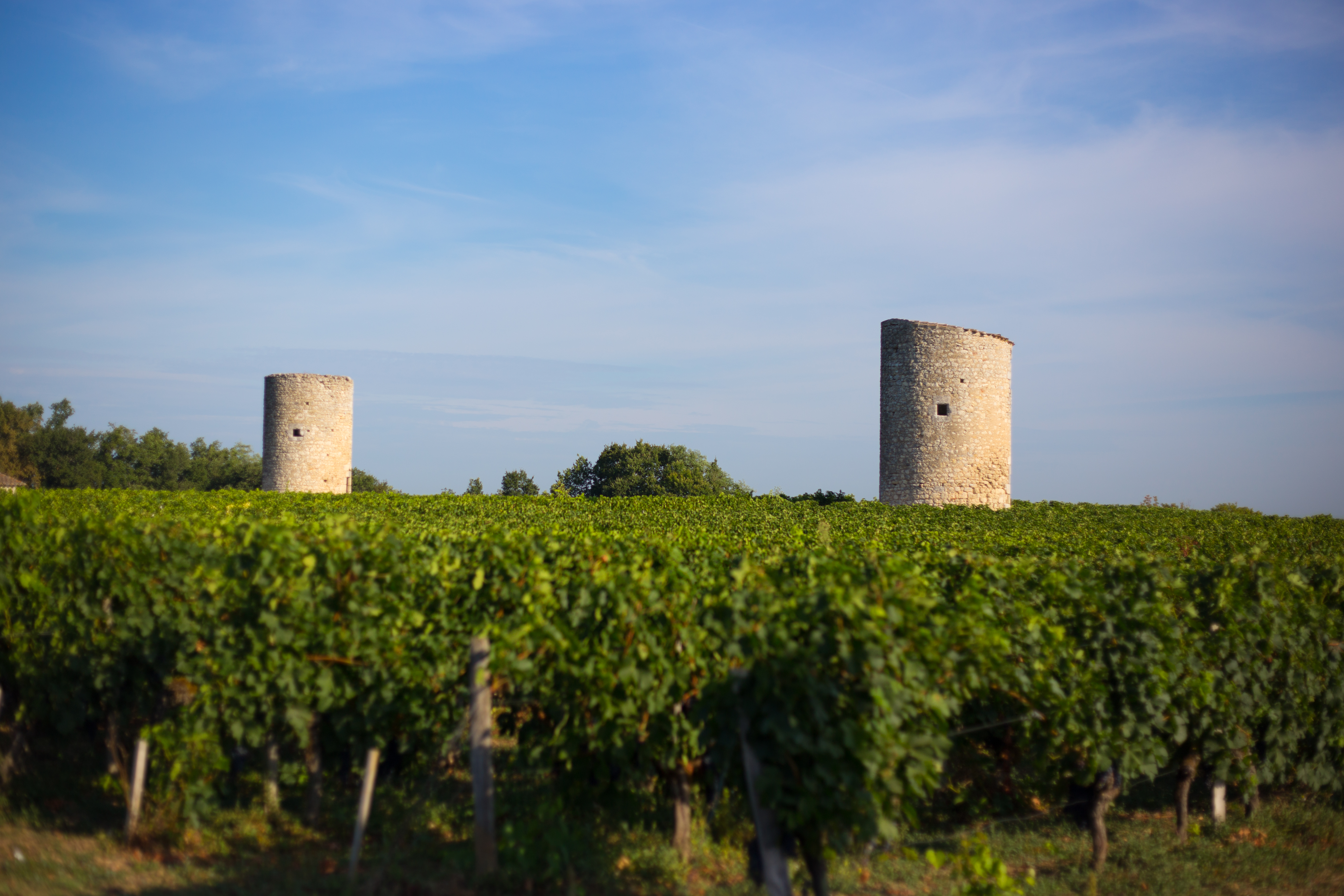 Boucle des Coteaux, Saint-Aignan