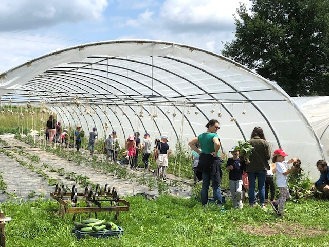 Ferme les P'tits bios — Producteurs & Artisans à Haute-Vienne
