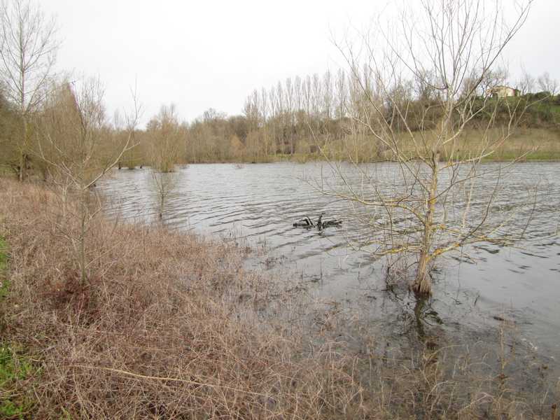 Lac de Lescourroux, Soumensac - photo 7