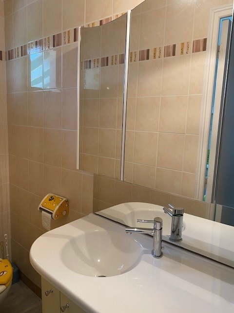 Les Planches de Bron - photo 2