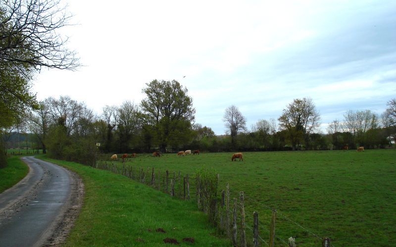 Bocage humide des bords de Garonne, Cadaujac - photo 2