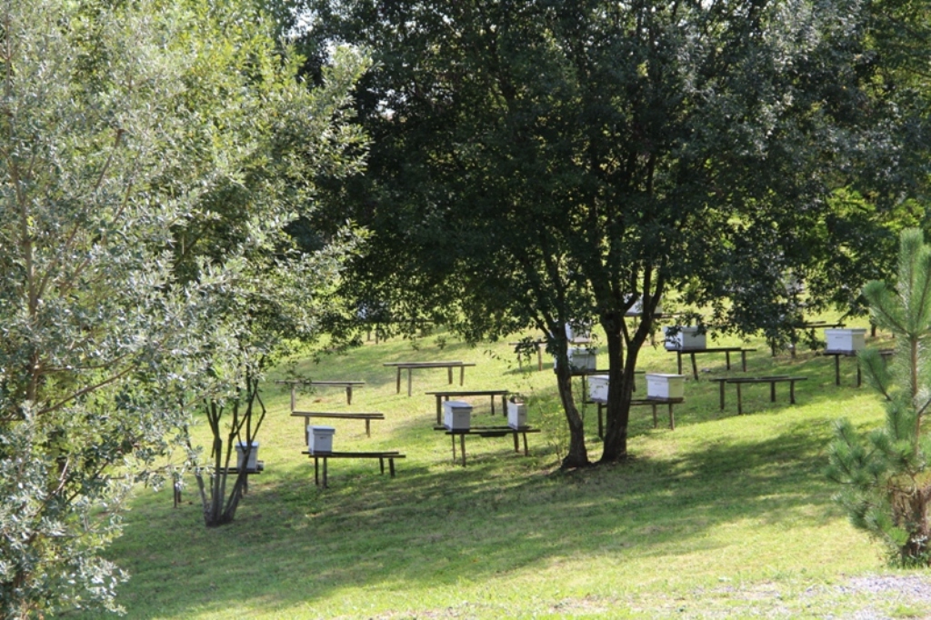 Le rucher de Chalosse - photo 4