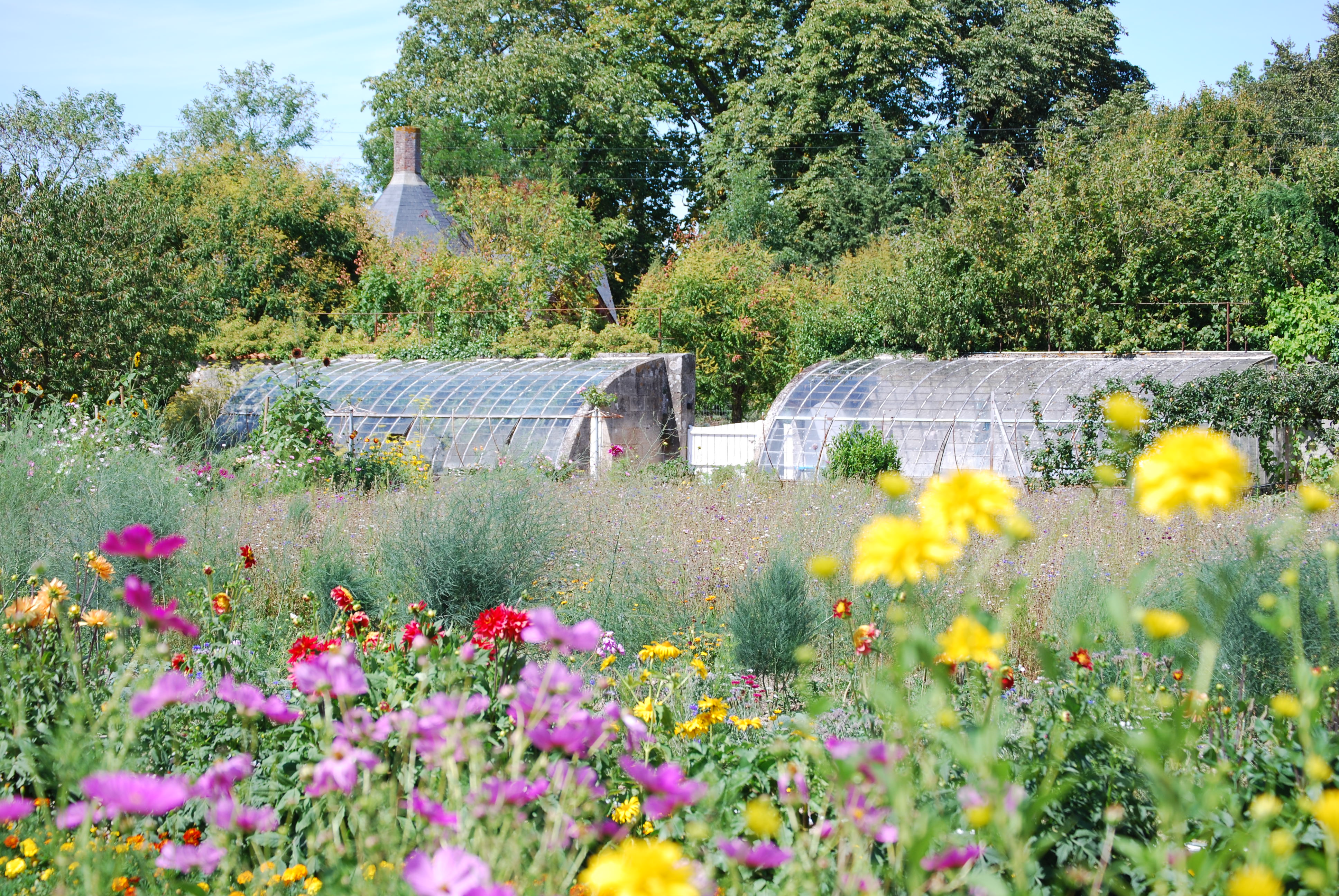 Parc et Jardins du Domaine de Tournelay, Nueil-les-Aubiers