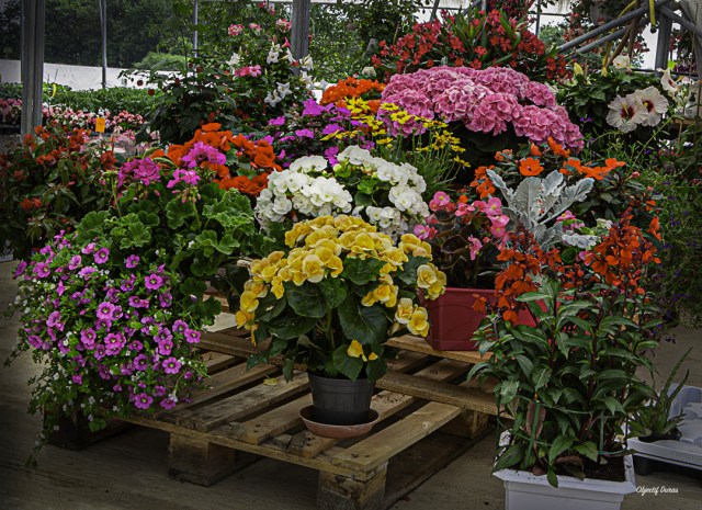 Les Serres des Caulins