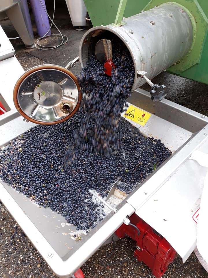 Domaine La Tuilerie Labreille - photo 5