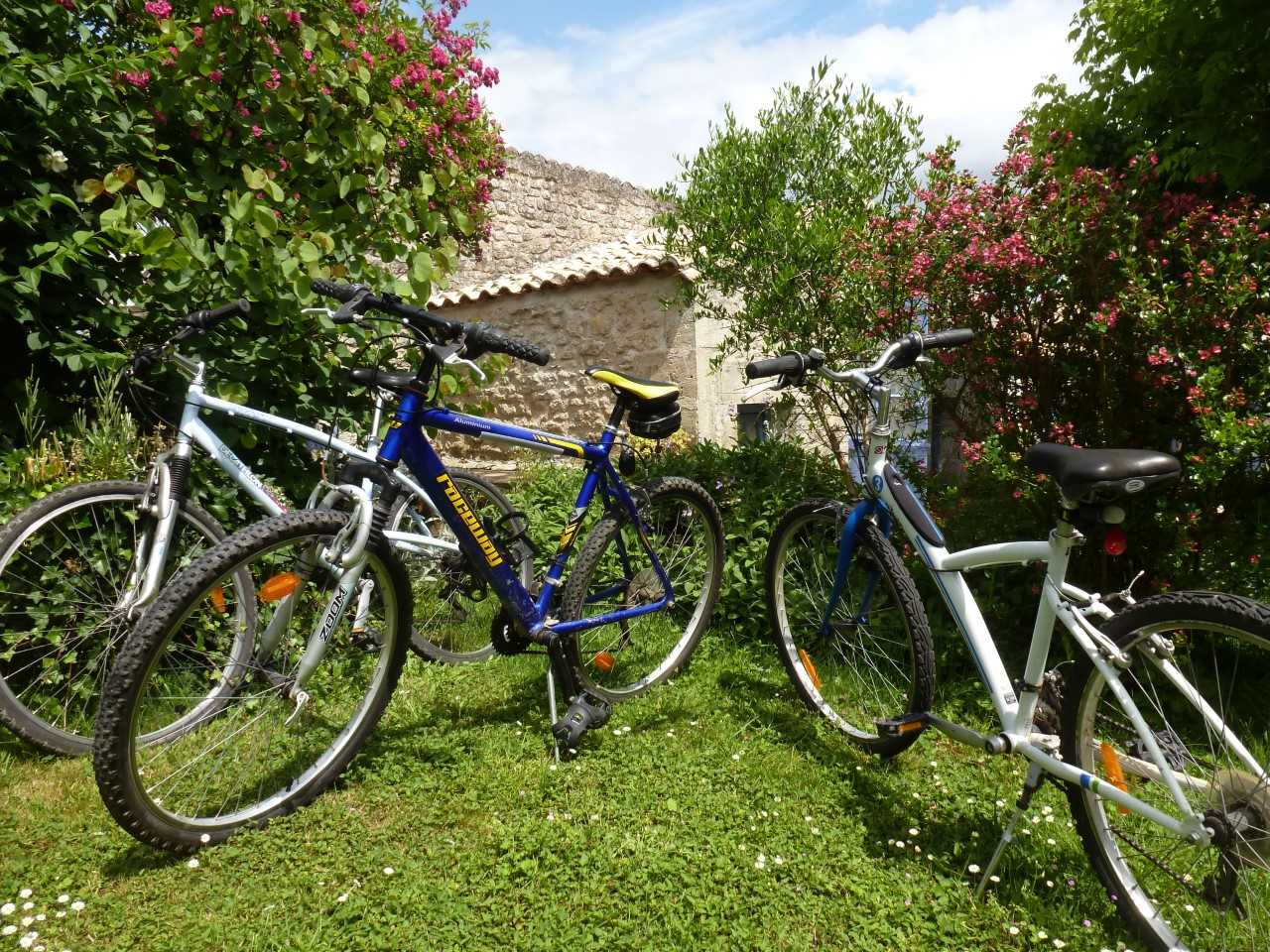 Gîte, Saint-Gelais - photo 7