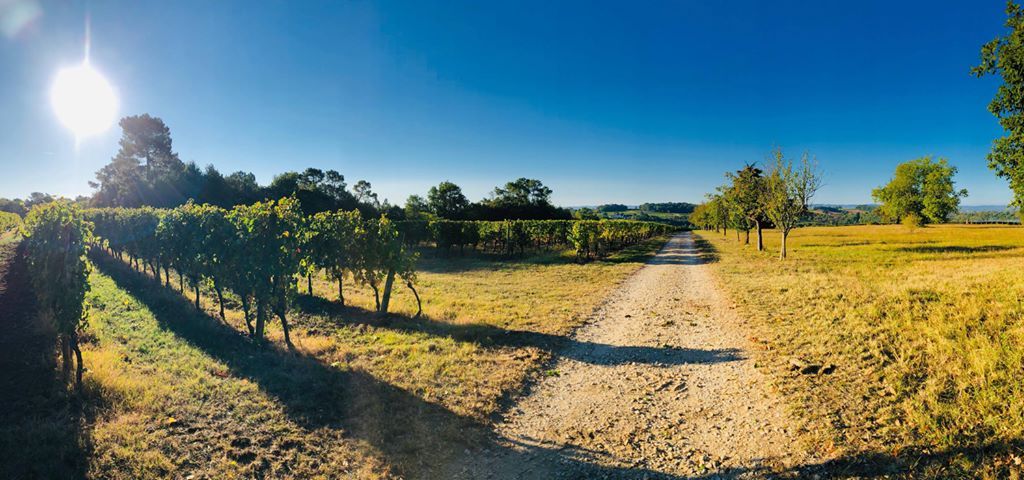 Château la Renaudie - photo 2