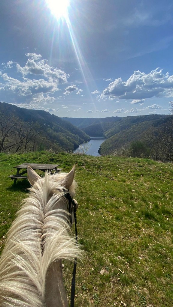 Les Ecuries de Kashi