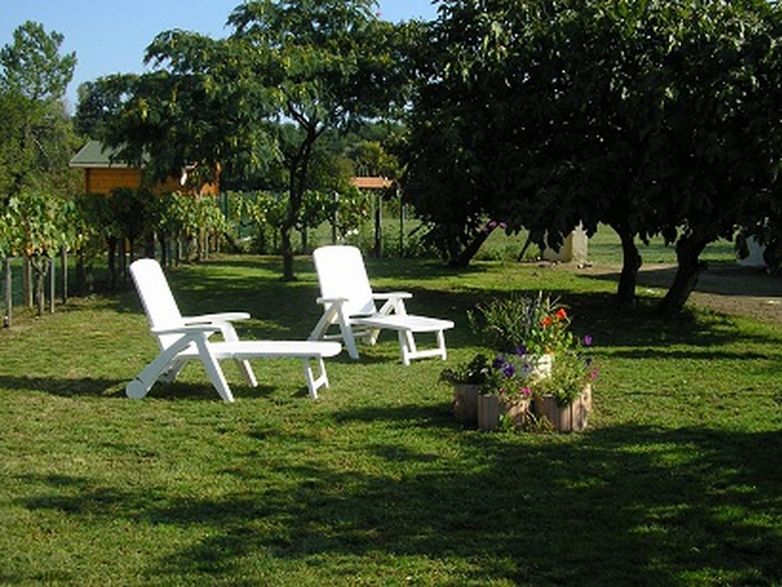 Monsieur Jean-Louis NOAILLES, Lesparre-Médoc - photo 4