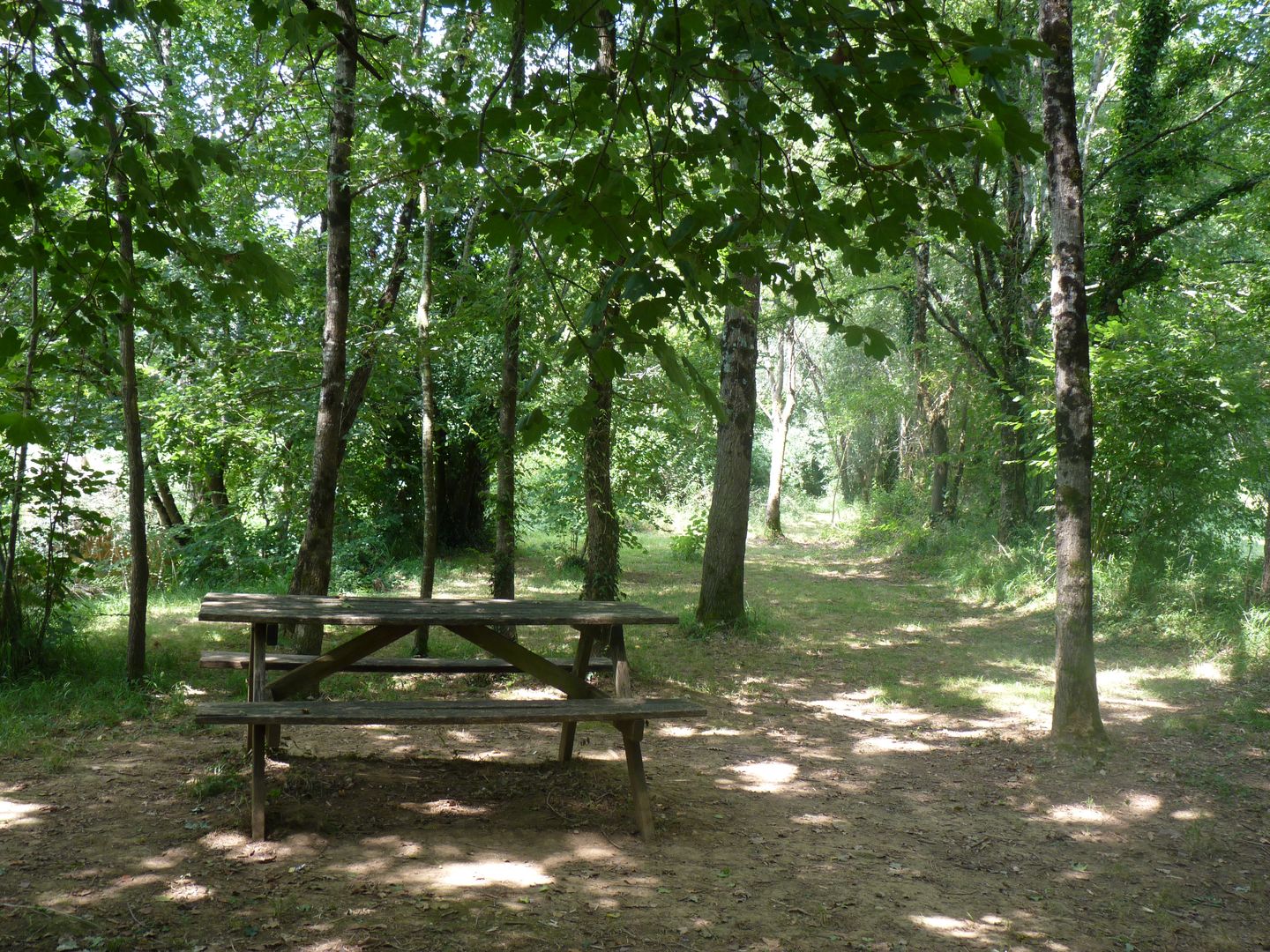 Aire de pique-nique du moulin de Bellegarde - photo 4