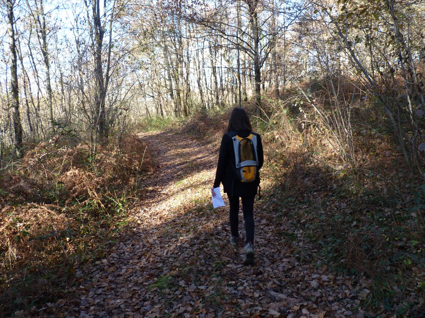 Lespielle : entre moulin et orchidées, Lespielle - photo 4